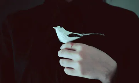 Đàn ông vốn tham lam, vừa muốn có vợ đảm đang, vừa muốn có bồ bốc lửa