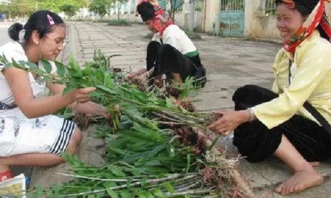 Giật mình với những cuộc giao dịch tiền tỷ trong giới chơi lan