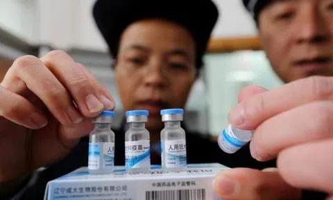 Bộ Y tế: Hai loại vắc xin giả tại Trung Quốc chưa được phép lưu hành ở Việt Nam