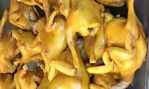 Bí ẩn nguồn gốc gà ủ muối hoa tiêu rẻ đến mức đáng ngờ