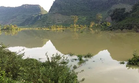 Sắp thu tiền tỷ từ vườn cam, sau 1 đêm bỗng trắng tay vì mưa lũ