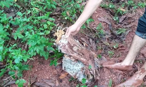 Xem xét công nhận liệt sĩ cho 2 phi công hy sinh vụ rơi máy bay