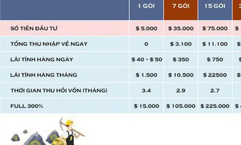 Sập bẫy lừa tiền ảo