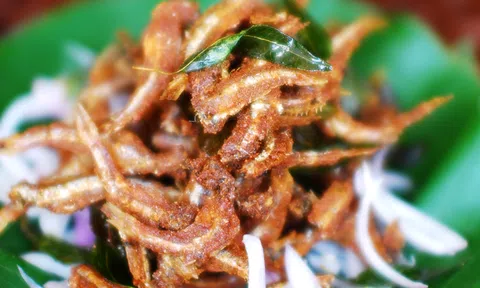 Cá cơm chiên làm nhanh trong nháy mắt thơm ngon khó cưỡng