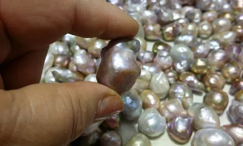 Vĩnh Phúc:  Đáy ao chứa 1.000 viên ngọc quý