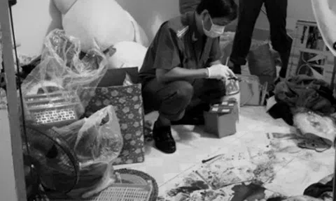 Kế hoạch lạnh lùng của người con gái nghi sát hại mẹ ruột vì `chăm sóc mệt`