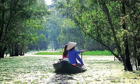 ‘Lạc trôi’ giữa mùa hoa từ vùng cao Tây Bắc đến miền Tây nước nổi