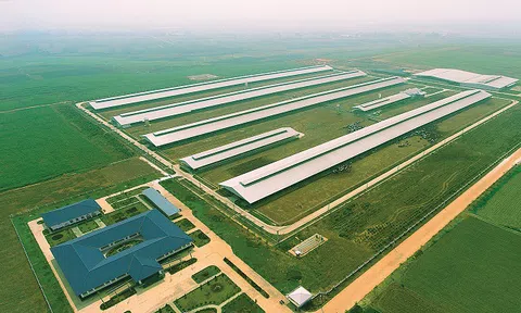 Vinamilk mở rộng đầu tư vào miền Tây Nam Bộ