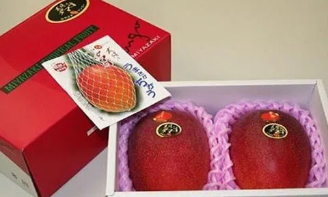 \'Trứng mặt trời\' đỏ rực, mua 2 quả biếu sếp hết nhẵn tháng lương