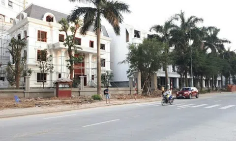 Chính thức thanh tra toàn diện các dự án của Công ty Lã Vọng