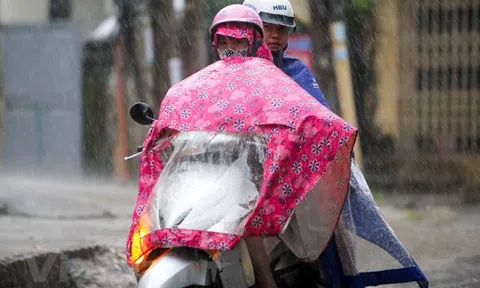 Từ ngày 4-5/8, Bắc Bộ có mưa nhiều nơi, có nơi mưa to đến rất to