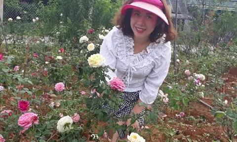 Từ trồng cho vui để ngắm, giờ có vườn hồng đáng giá vài tỷ đồng