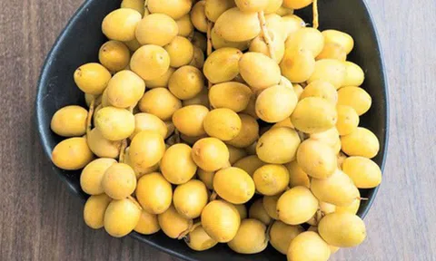 Hơn nửa triệu đồng 1 kg chà là tươi nguyên cành