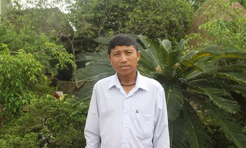 Lão nông xứ Nghệ thu hàng tỷ đồng nhờ ươm trồng cây cảnh