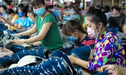 Tỷ lệ bù lương hưu hỗ trợ lao động nữ bị thiệt được đề xuất thế nào?