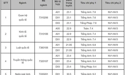 Điểm chuẩn 2018 của Học viện Ngoại giao thấp nhất là 21,95 điểm