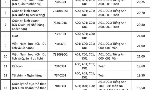 Điểm chuẩn Đại học Tôn Đức Thắng 17-22