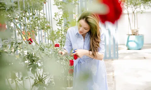 Lãnh sự danh dự Lý Nhã Kỳ lãng mạn giữa vườn hồng 