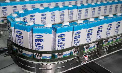 Vinamilk lọt Top 10 Công ty Nộp thuế Thu nhập Doanh nghiệp nhiều nhất VN