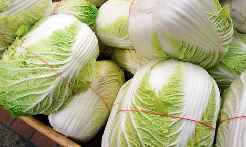 Cải thảo có tác dụng phòng ngừa ung thư hiệu quả, bạn đã biết?