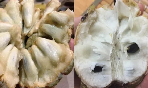 Na bở \'thất sủng\' bỗng nhiên đội giá cao ngất vì trở thành của hiếm