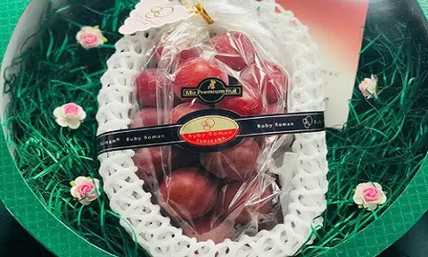 Nho Nhật 11 triệu đồng/chùm bán hết sau một ngày về Sài Gòn