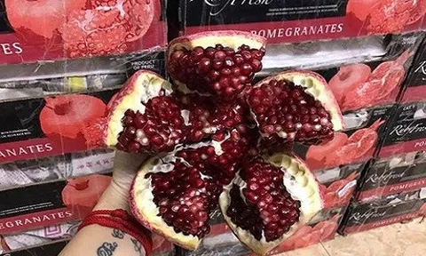 Lựu khổng lồ có giá lên tới hơn 300 nghìn đồng/quả