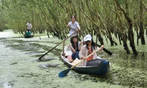 Khám phá 4 địa điểm tuyệt đẹp ở Việt Nam vào mùa thu