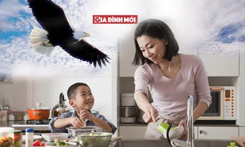 Cha mẹ đang nuôi `gà công nghiệp` hay `đại bàng`?