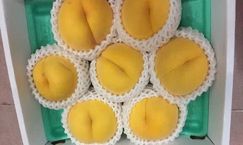 Loại đào vàng Nhật Bản lại gây `sốt` thị trường tiêu dùng với mức giá cao ngất 