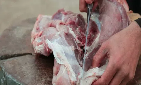 Giá heo hơi hôm nay 22/8 : Miền Bắc đã xuống dưới 50.000 đồng/kg