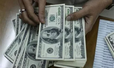 Tỷ giá ngoại tệ ngày 22/8: USD gãy đổ từ đỉnh 13 tháng, Euro tăng mạnh