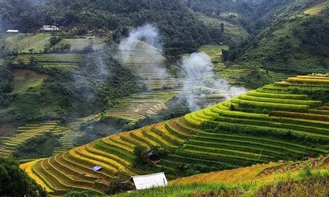 Nghỉ lễ 2/9 : Hãy xách ba lô lên vùng cao ngắm Mù Cang Chải mùa vàng đẹp mê hồn