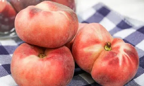 Đào ngoại ồ ạt về Việt Nam