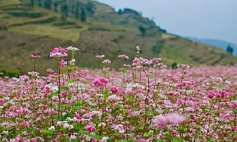 Hãy xách ba lô đến với mảnh đất Hà Giang xinh đẹp vào tháng 10 này