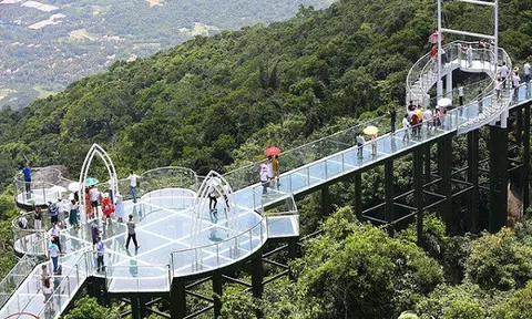 Trung Quốc mở cửa cầu đáy kính đi xuyên rừng ở độ cao 450m