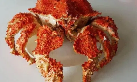 Một con cua Ruby lên tới vài triệu đồng vẫn được người tiêu dùng lùng mua