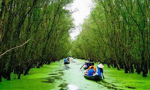 Vẻ đẹp mê đắm lòng người của miền Tây vào mùa nước nổi