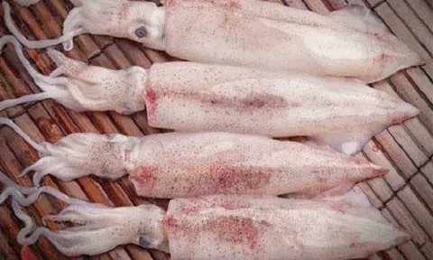 Bí quyết chọn mực tươi ngon như dân biển