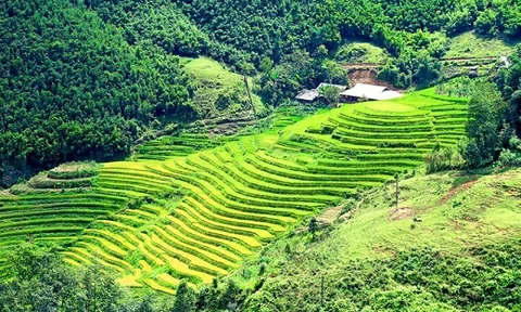 Ghé thăm Sa Pa vào những ngày đất trời sang thu