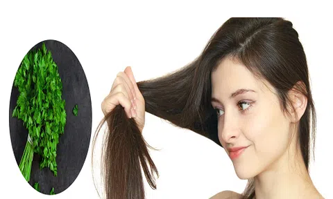 Bí quyết giúp bạn vượt qua mùa tóc rụng chỉ với vài cây mùi tây