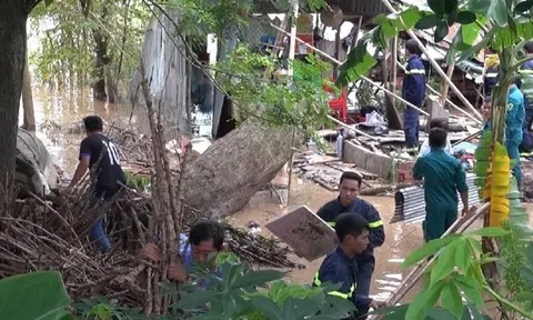 Đang ngủ trong nhà, 2 mẹ con bị cây đổ đè tử vong