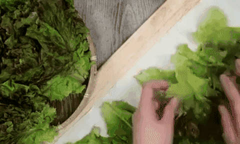 Để rau trong tủ lạnh cả tuần vẫn tươi ngon nếu làm thêm thao tác đơn giản này 