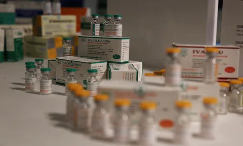 Việt Nam sản xuất thành công vắc xin cúm mùa và cúm A/H5N1