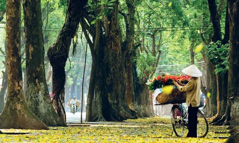 Dự báo thời tiết 3/10: Miền Bắc hanh khô, miền Trung có mưa lớn