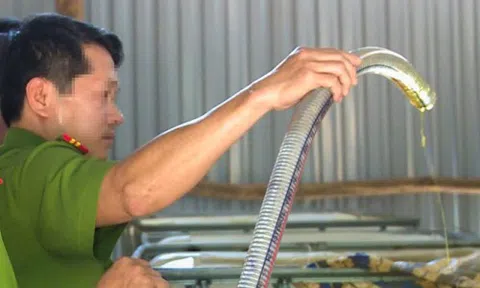 Bắt quả tang cơ sở đang tái chế 5000 lít dầu nhớt thải thành dầu mới