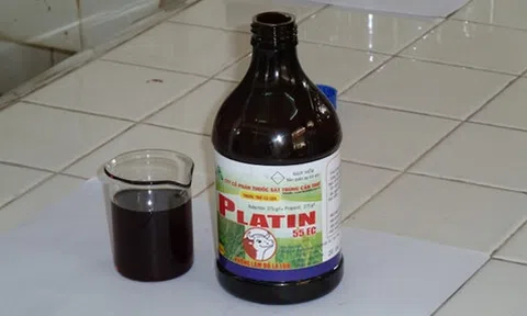 Cho con uống thuốc diệt cỏ, nữ giáo viên ở Đồng Tháp bị truy tố tội giết người