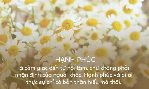 Những câu nói nên đọc mỗi ngày để có cuộc sống hạnh phúc