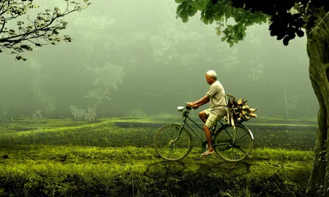 Những điều hối tiếc khi về già, hãy đọc để khi trẻ còn phấn đấu!