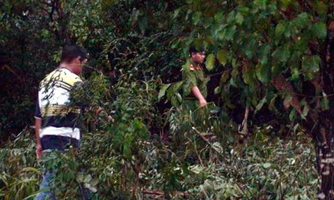 Truy bắt nghi phạm sát hại dã man cụ bà gần 80 tuổi sống đơn thân để cướp của